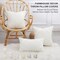 Outdoor Spring Throw Pillow Covers 18X18 Set of 2, Farmhouse Decorative Pillow Covers for Couch Sofa Living Room, Beige & Cream White